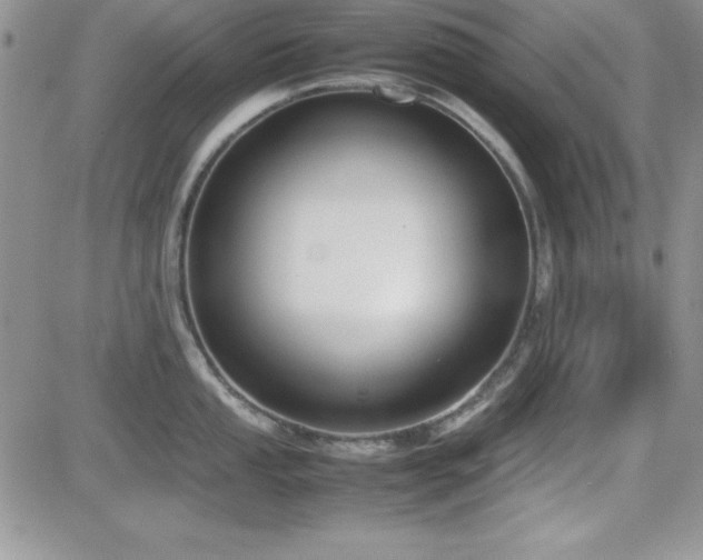X0000082701053200701261241