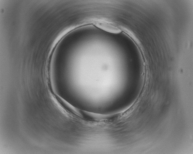 X0000082701056200701261241