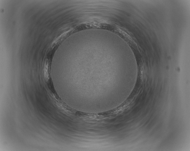 X0000082701060200701261240