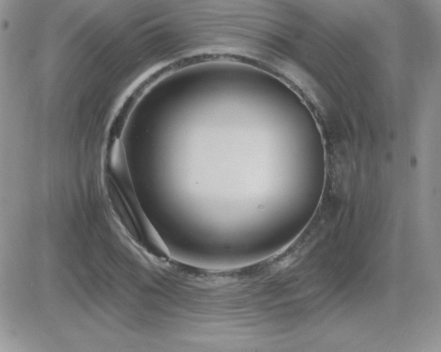 X0000082701076200701261240