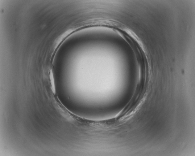 X0000082701089200701261239