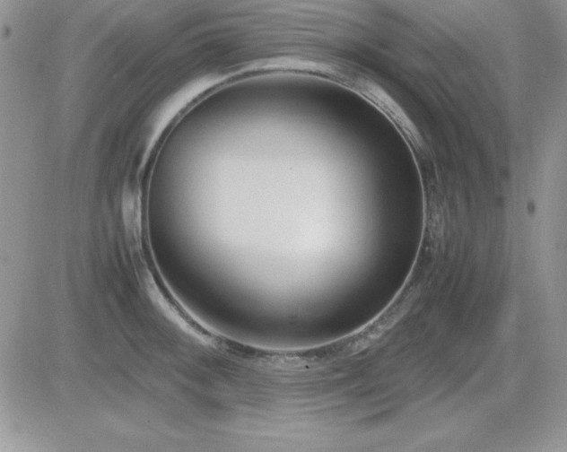X0000082701092200701261239