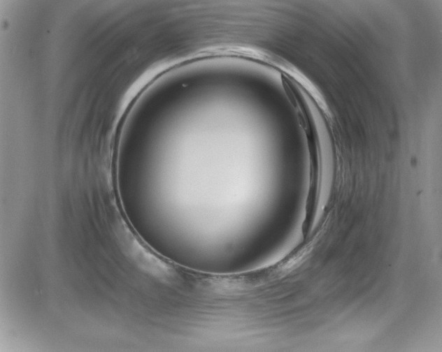 X0000082701102200701261239