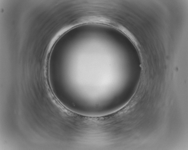 X0000082701104200701261239