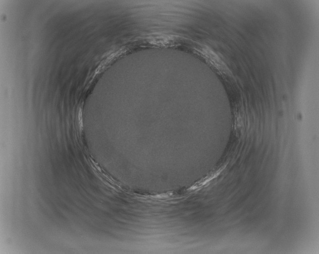 X0000082701106200701261238