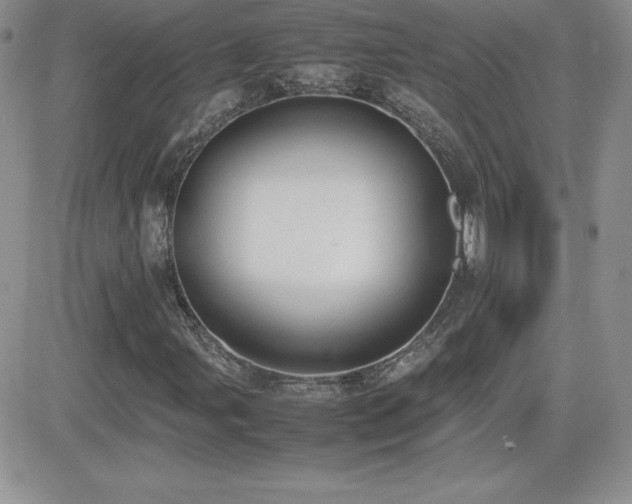 X0000082701107200701261238