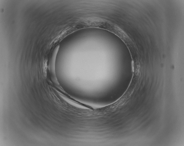 X0000082701108200701261238