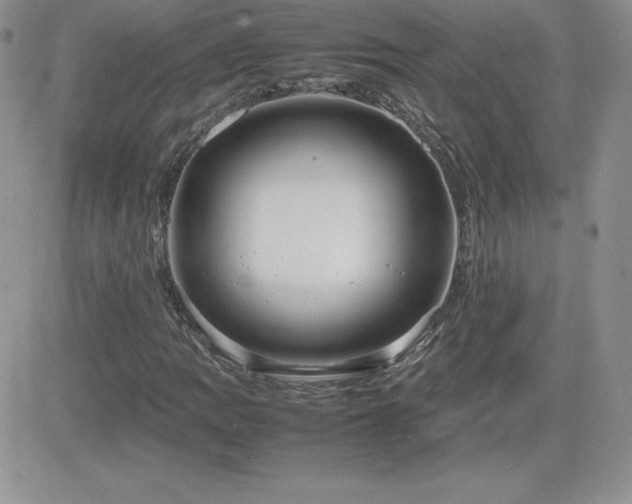 X0000082701109200701261238