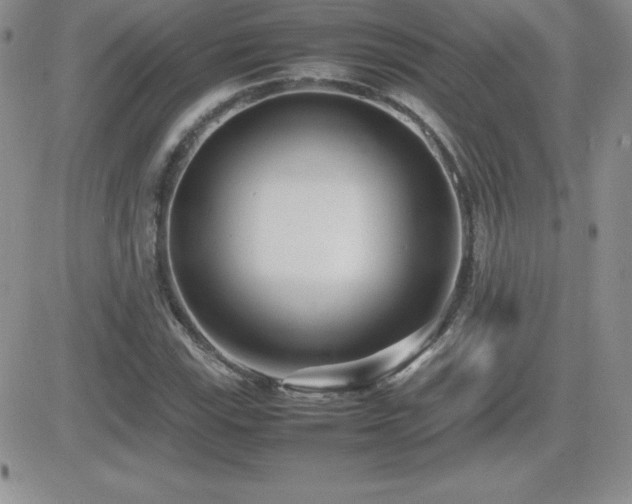 X0000082701115200701261239