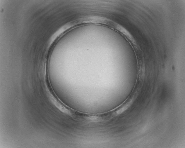 X0000082701130200701261239