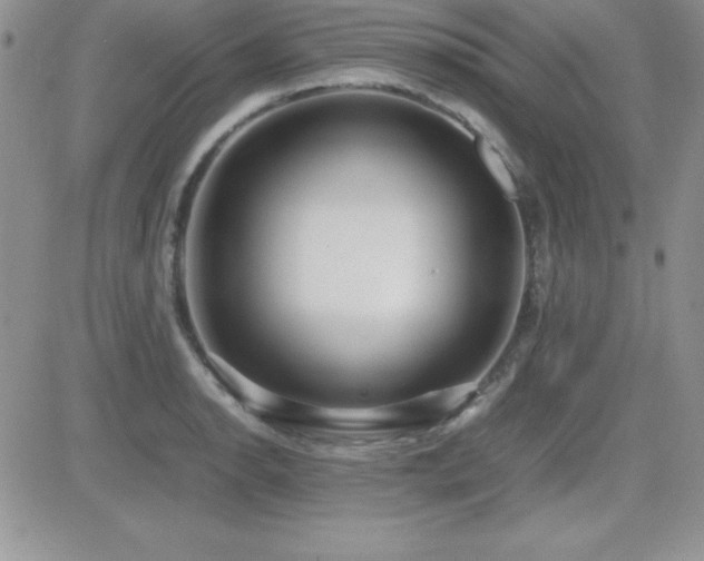 X0000082701134200701261239