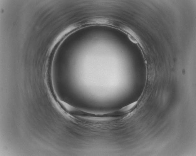 X0000082701139200701261239