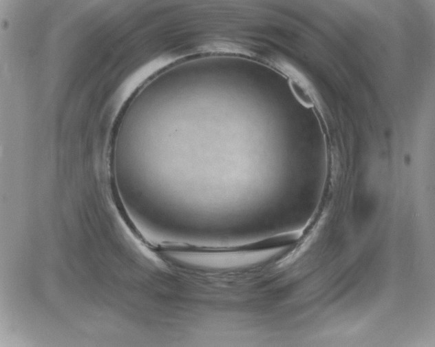 X0000082701141200701261239