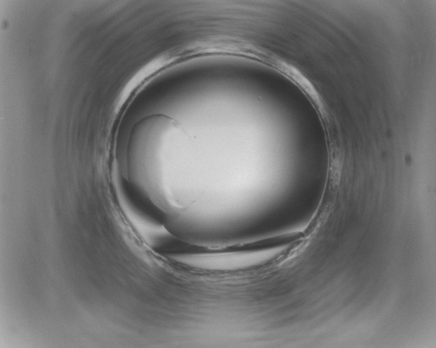 X0000082701146200701261239