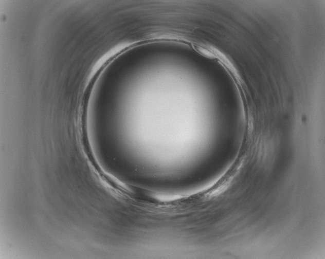 X0000082701149200701261239