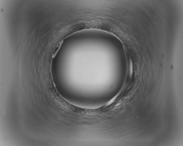 X0000082701153200701261238