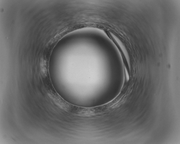 X0000082701156200701261238