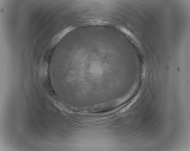 X0000082701161200701261238