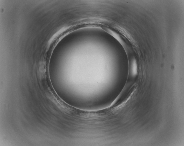 X0000082701164200701261238