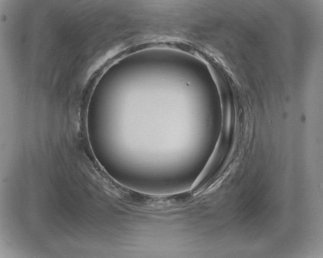 X0000082701165200701261238