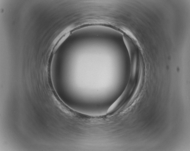 X0000082701181200701261238