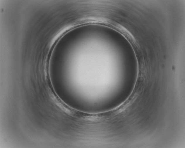 X0000082701182200701261238