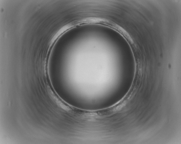 X0000082701186200701261238