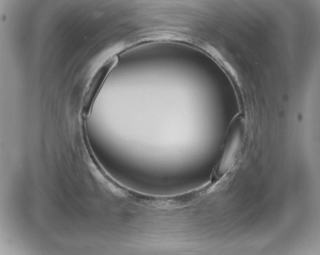 X0000082701189200701261238