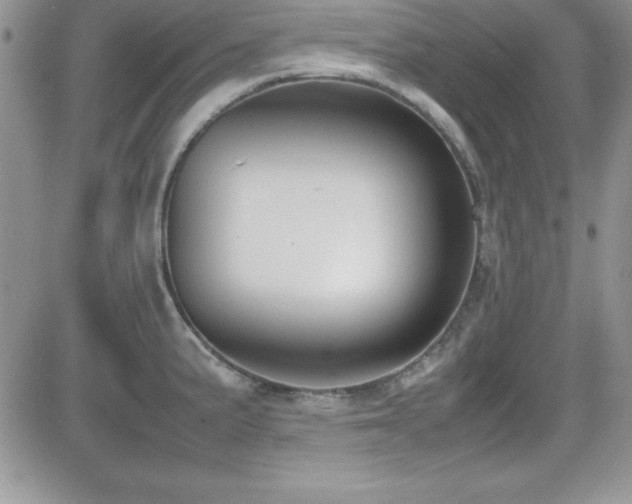 X0000082701191200701261238