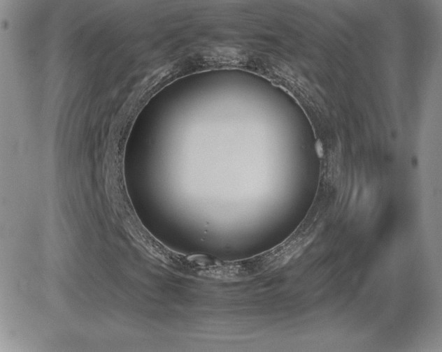 X0000082701201200701261237