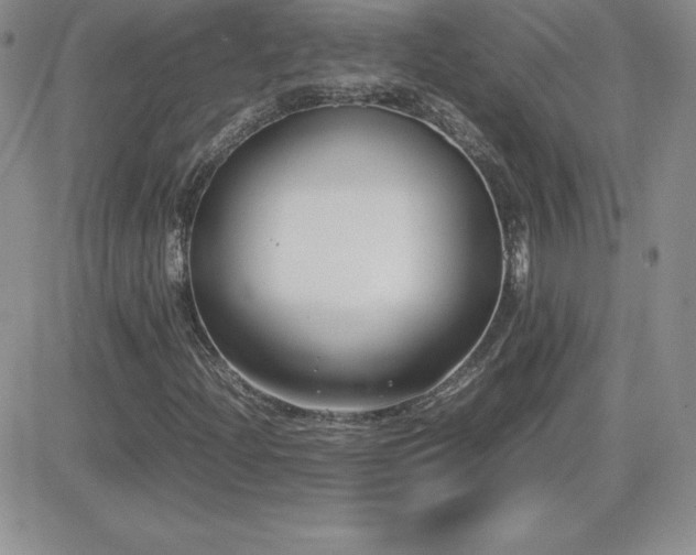 X0000082701204200701261237