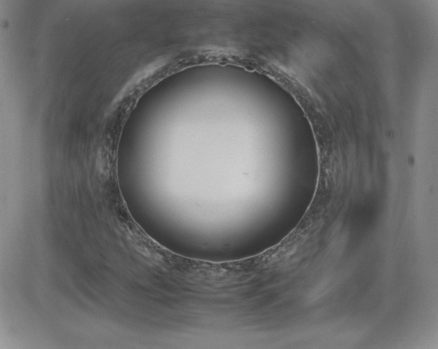 X0000082701207200701261237