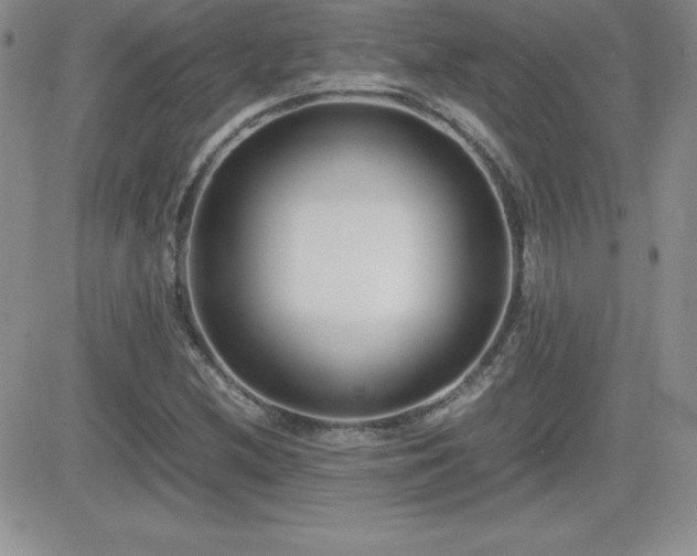 X0000082701212200701261237