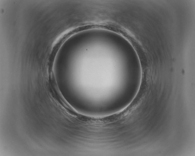 X0000082701214200701261237
