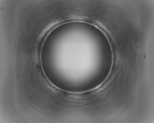 X0000082701215200701261237