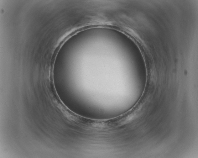 X0000082701220200701261237