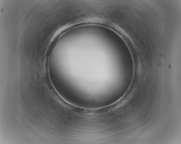 X0000082701222200701261237