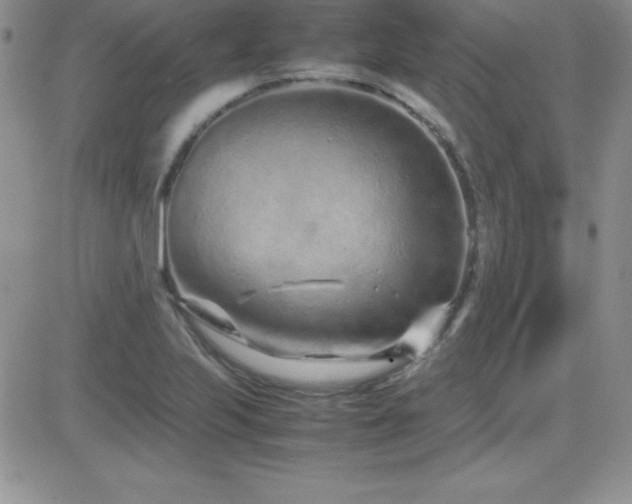 X0000082701223200701261237