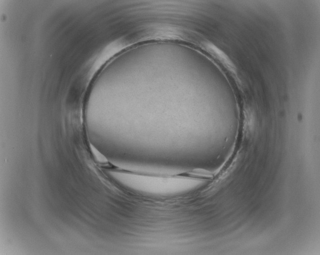 X0000082701226200701261237