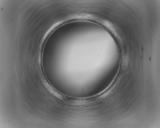X0000082701232200701261237