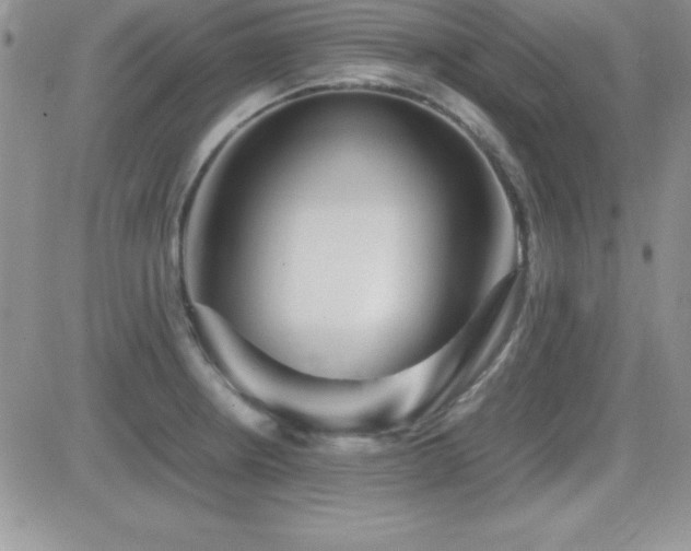 X0000082701234200701261237