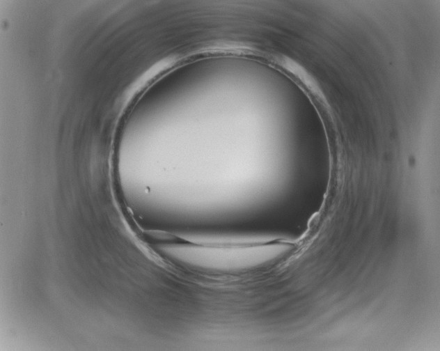 X0000082701237200701261237