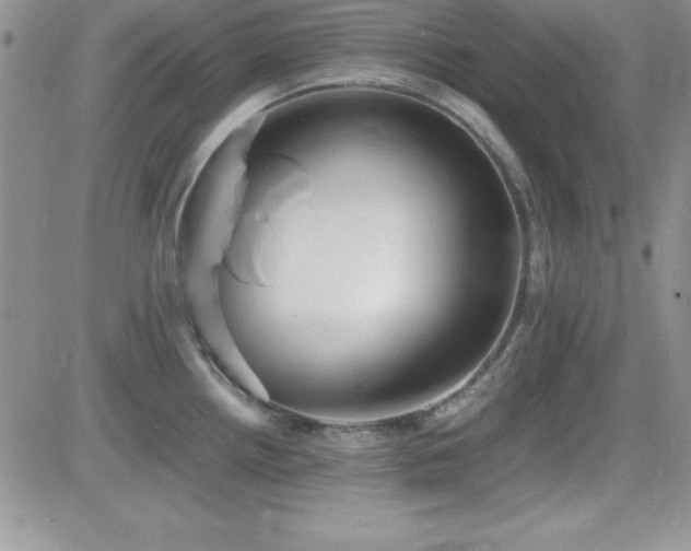 X0000082701242200701261238