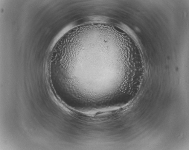X0000082701243200701261238