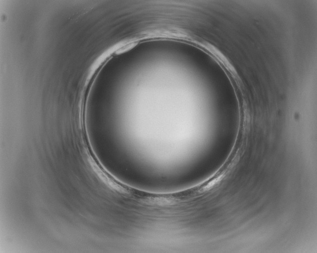 X0000082701246200701261238