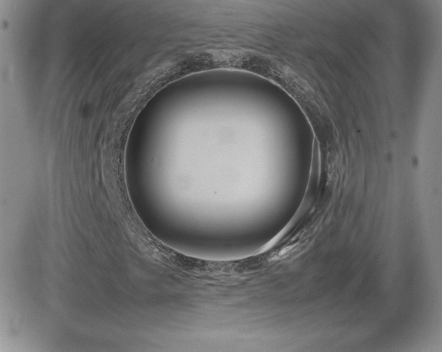 X0000082701249200701261237