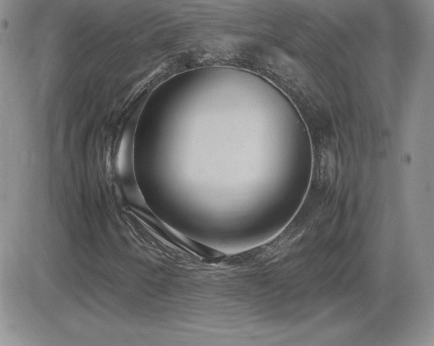 X0000082701250200701261237