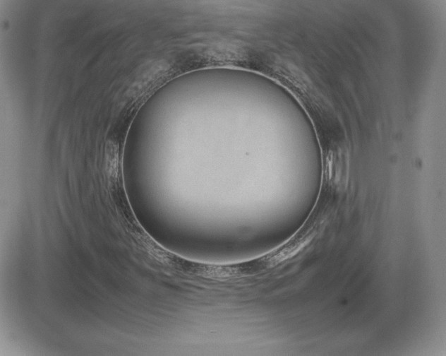 X0000082701251200701261237