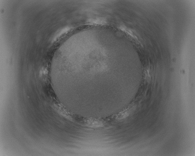 X0000082701254200701261237