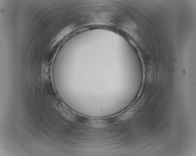X0000082701258200701261237